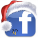 SA Holiday Lighting Facebook-1 (1)